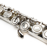 Yamaha 222 #N64917 - Silver Plated, Offset G, C Footjoint