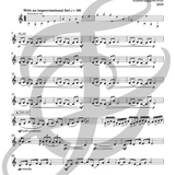 Bit of Everything (Flute and Electronics)
