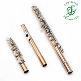 Brannen Custom #1647 - 14K Gold Flute, inline G, B footjoint