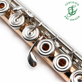 Brannen Custom #1647 - 14K Gold Flute, inline G, B footjoint