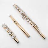 Lillian Burkart „Professional Model“ Flöte in 9 Karat Gold über Sterlingsilber – Neu