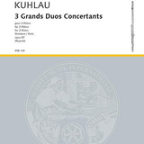 3 Grands Duos Concertants, Op. 87