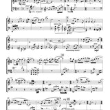 Desert Dusk (Alto Flute and Cello)
