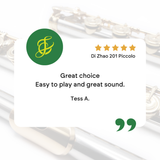 Di Zhao Piccolo Model DZP-201 - New