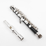 Di Zhao Piccolo Modell DZP-101 - Neu