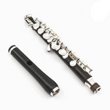 Di Zhao Piccolo Modell DZP-201 - Neu