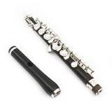 Di Zhao Piccolo Model DZP-201 - New