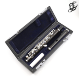 Di Zhao Piccolo Modell DZP-201 - Neu