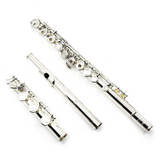 Eastman Intermediate Flute Modell 420 - Neu