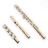 William S. Haynes Handmade Custom Flute in 14K Gold #53403 - Inline G, 14K gold tone holes and rings (Demo)