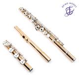 Haynes Classic Flute Q-Series Model Q-Fusion #7739 - Offset G, C# trill key (Demo Model)