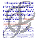 Peter's Piccolo World, Book Two