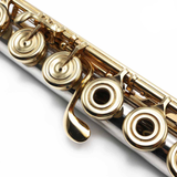 Powell Custom #10240 - Platinum Tubing, 10K Gold Mechanism, Inline G, B Footjoint, 14K Gold Lip Plate and Riser