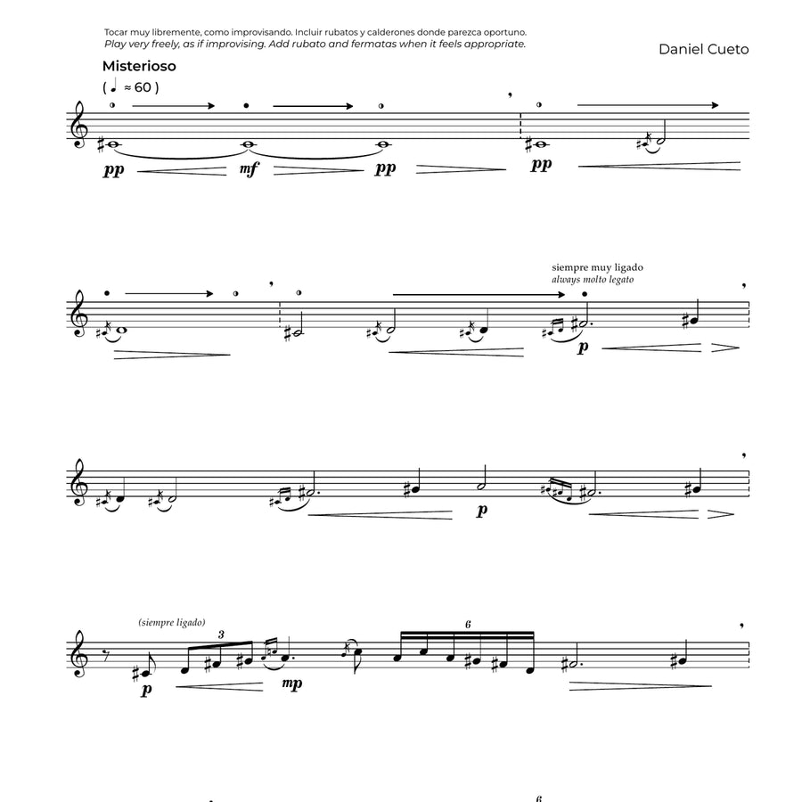 Problema (Alto Flute)