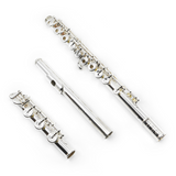 Sonare  by Powell Model 505 - New