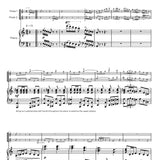 Surquillo (Dos Flautas y Piano)