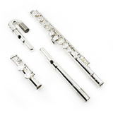 Trevor James Model 10XC2 - Curved and Straight Head Joints - New