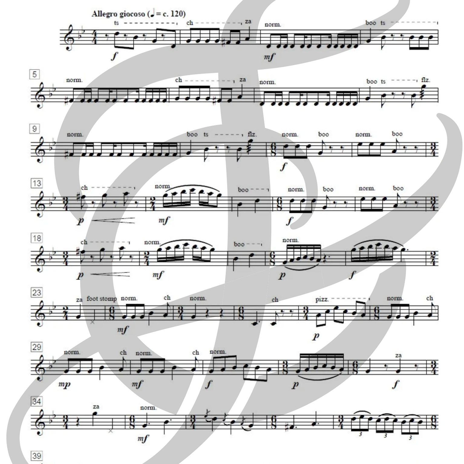 Vicuña (flûte alto et flûte basse)