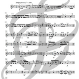 Vicuña (flûte alto et flûte basse)
