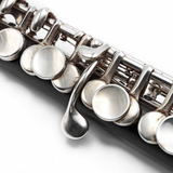 Weissman Piccolo #492 - Grenadilla Wood, Rosewood Headjoint