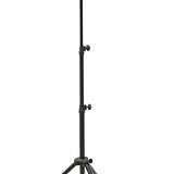 Konig and Meyer Stand for Sheet Music