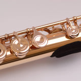 Flute Cushion